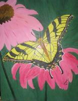 Butterflys - Restin Butterfly - Acrylic